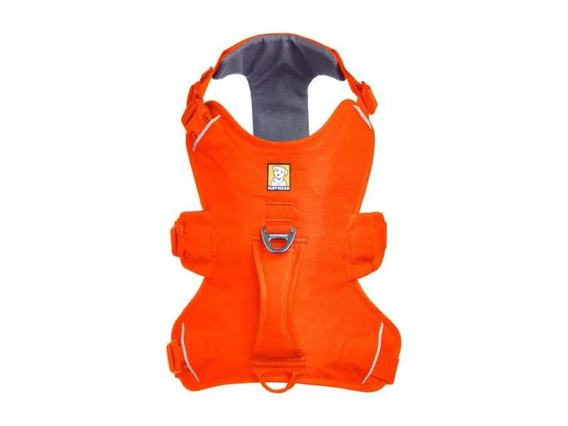 Web Master Harness en Blaze Orange