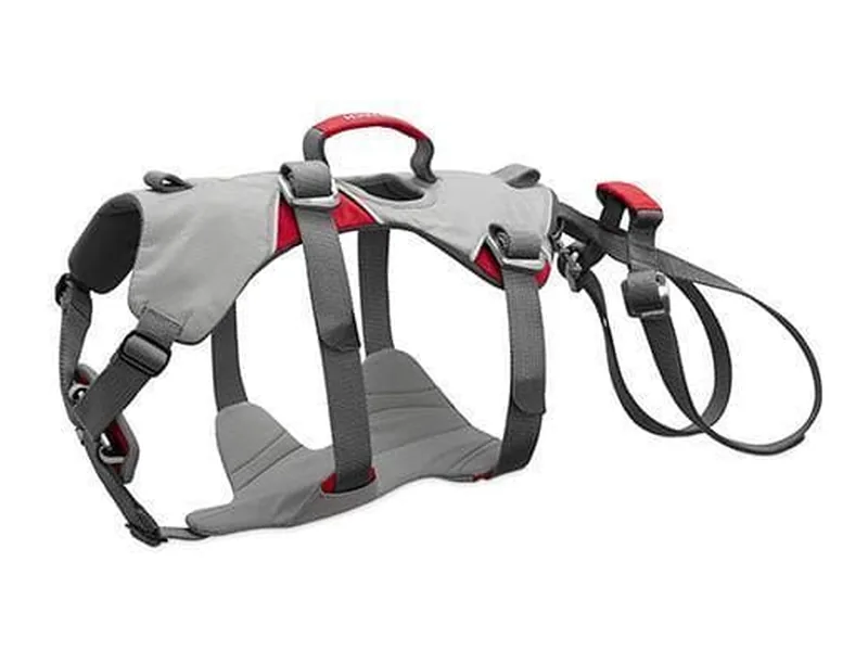 Doubleback Harness en Cloudburst Gray