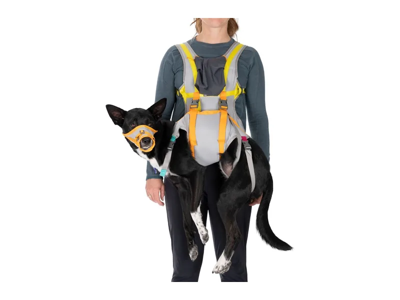 BackTrak Dog Evacuation Kit en Cloudburst Gray