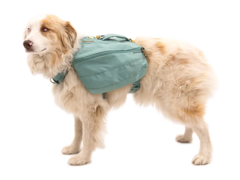 Front Range Day Pack en River Rock Green